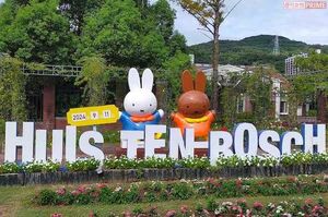 ハウステンボスはオランダの街並みやイルミネーションといった景色を楽しめないと難しそう