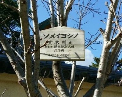 堂本剛 成人式にサプライズ「ふるさとはとても大きな存在」