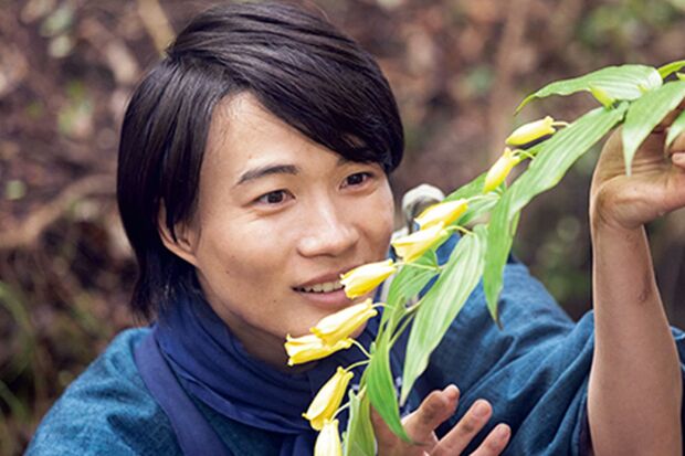 第3週（17日～22日）「ジョウロウホトトギス」