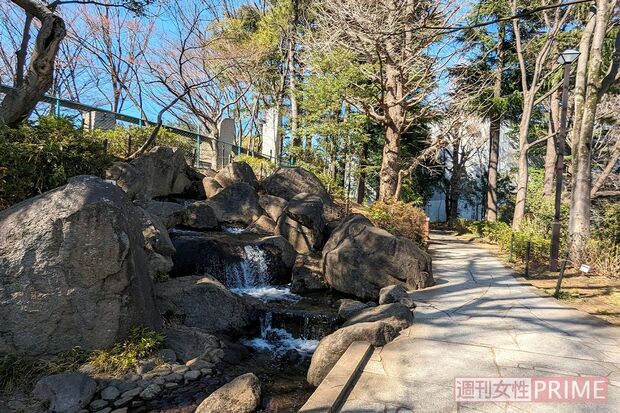 撮影が行われた蚕糸の森公園の池エリア