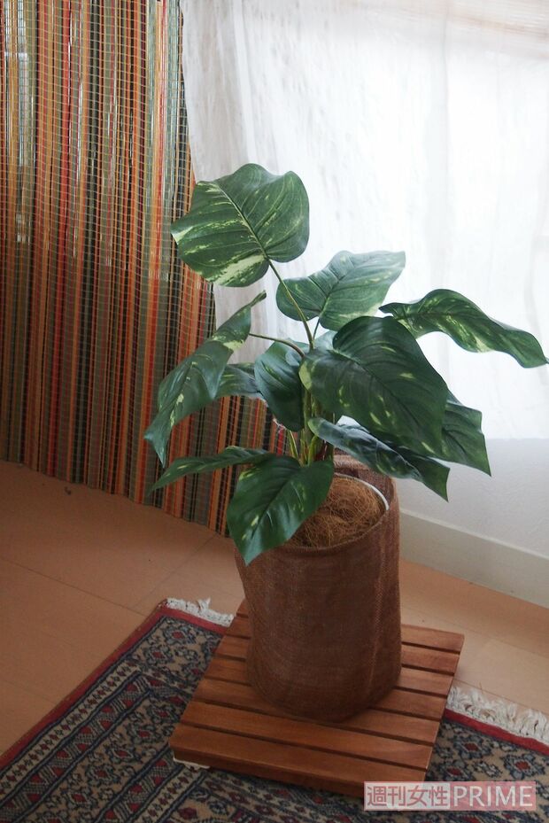 お金をかけなくてもインテリアは楽しめる！