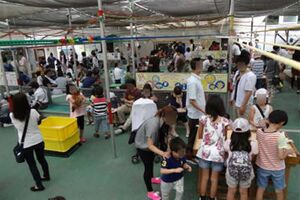 動物園のふれあいスペース（PEACE提供）