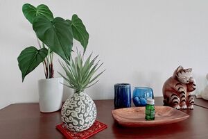 インテリアはシンプル&ナチュラルな色みでまとめている