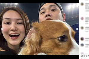 地区優勝後に投稿された大谷翔平と真美子さん、デコピンの家族写真(公式インスタグラムより)