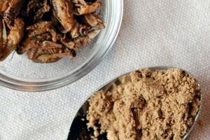 バグモは食用コオロギなの自動養殖システムの開発などを手がける（同社HPより／東洋経済オンライン）