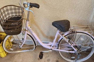 朝6時に起きて2時間以上の電車通勤、92歳栄養学者に聞いた「健康長寿を裏付ける日…