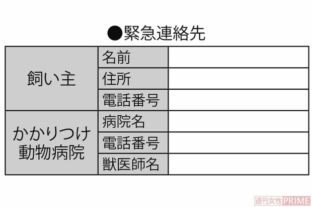 公益社団法人『日本動物福祉協会』のホームページを参考に、編集部で作成