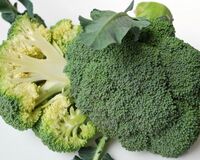 『ライザップ』で変身の峯岸も食べた、ブロッコリーの効果