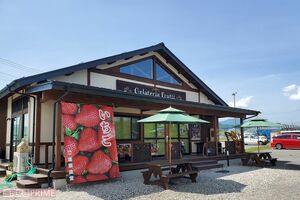 青木容疑者が経営していたジェラート店