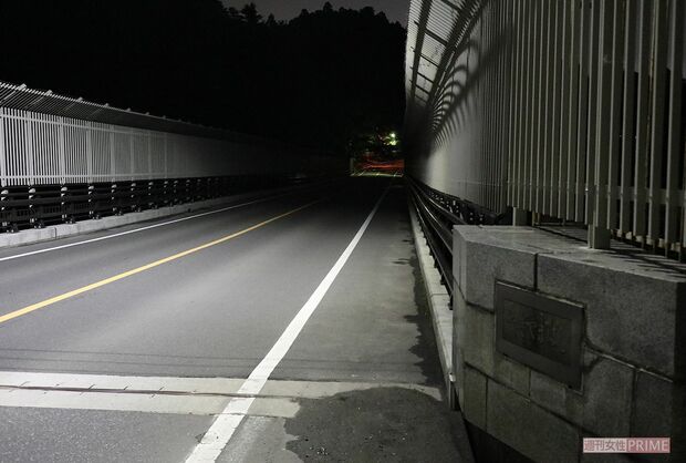 のしかかるような威圧感のあるフェンスの下、歩を進める。深夜、通ると顔のつぶれた女が追いかけてくるという噂が