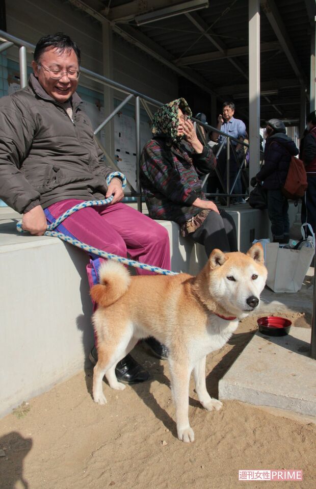 避難所に入れない愛犬と一緒にいた男性は、自宅が津波で流され、着ている服も借りものだと話してくれた（2011年3月13日）