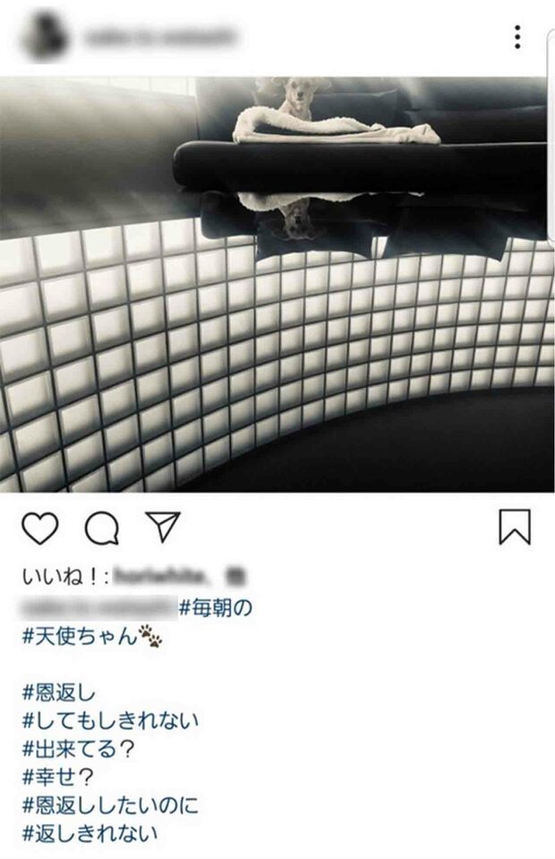 芦名星さんのものと思われるインスタグラム