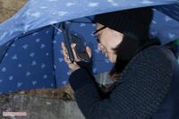 岩崎恭子、思春期の娘に不倫を謝罪していた!  与えたトラウマが及ぼす「悪影響」