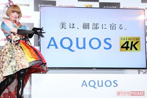 民放の4K放送開始前の'14年ごろから4K対応テレビは発売されていた