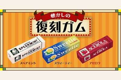 お口の恋人”ロッテを直撃！「粒ガム」が主流になっても「板ガム」が消えない理由（2ページ目） | 週刊女性PRIME