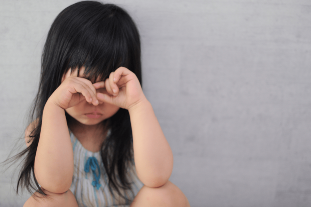 写真はイメージです