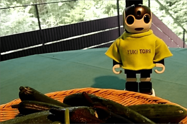 軽井沢の別荘にて、収穫した野菜とロボちゃん