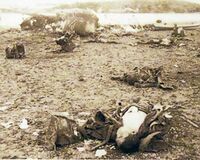 【戦争の証言】沖縄地上戦「元人間だった“塊”を踏むのは耐えられない」