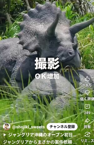 人気インフルエンサー「正直レビュー」が投稿したジャングリア沖縄の案件動画が話題(本人のYouTubeショートより)