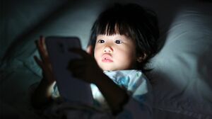 写真はイメージです