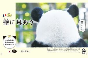 『グローバルな視点を身につけよう パンダといっしょに学ぶ世界のことわざ』より 撮影/高氏貴博