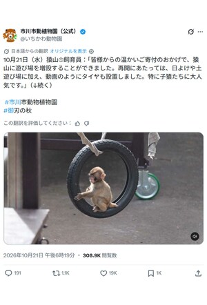 10月21日から再開したサル山。日よけや土遊び場に加えタイヤなどの遊び場も増設した（市川市動植物園公式Xより）