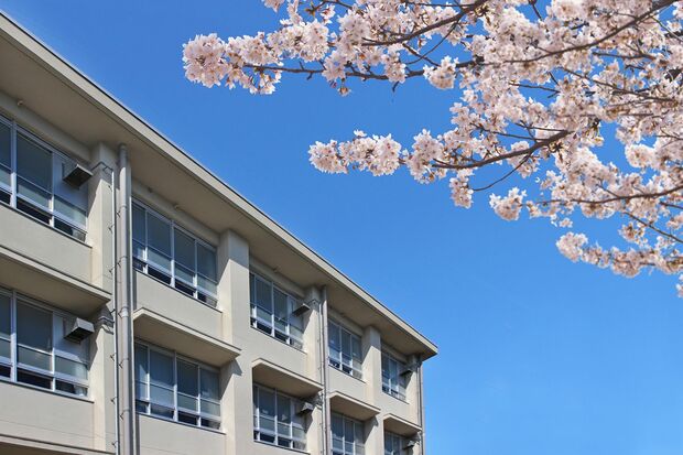 写真はイメージです