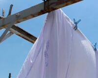 衣類のニオイを防ぐ洗濯法「洗濯機の容量の7割を目安に」