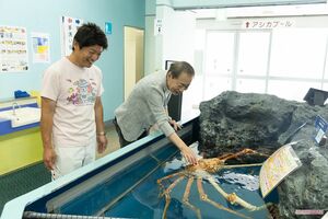 タカアシガニにさわれるコーナーで小林さんと(撮影/矢島泰輔)