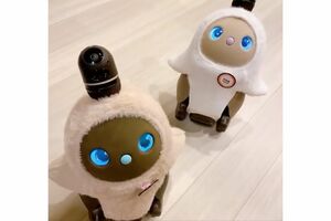 家族型ロボット　GROOVEX『LOVOT（らぼっと）』（公式ツイッターより）