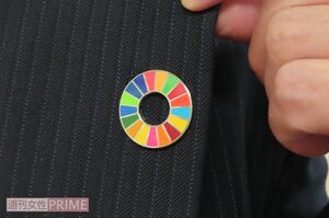 カラフルな17色は世界が目指すべき目標を指す