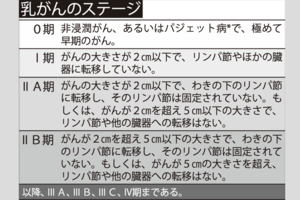 ※パジェット病:乳頭や乳輪の表皮内にがん細胞がみられ、赤くただれたようになる。