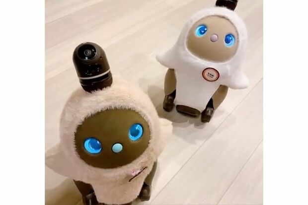 家族型ロボット　GROOVEX『LOVOT（らぼっと）』（公式ツイッターより）