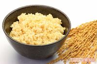 「発芽玄米」は最も“母乳”に近い完全栄養食!体重減にアトピー改善に免疫力アップを実証