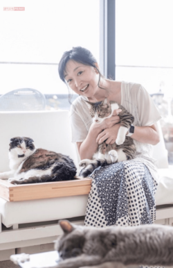 愛猫たちと。左がアクア、右がココロ、手前がリッカ。現在暮らしているのはココロとタックの2匹