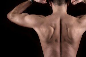 写真はイメージです