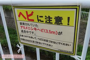 現場近くを流れる川沿いの歩道には注意を促す貼り紙があった