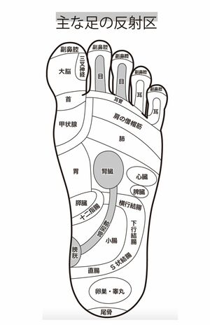 足の裏の反射区