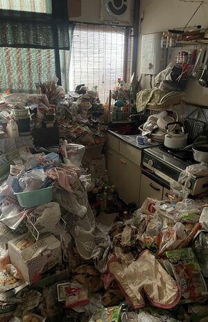 食べ切れないほどのレトルトやインスタントの食品が、ゴミと共に積まれていた。賞味期限切れのものも多い　画像提供／グッドサービス