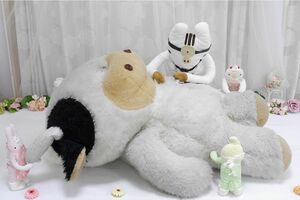 ぬいぐるみの病院は、ぬいぐるみの医師や看護師がやさしく診察、看護をしてくれる