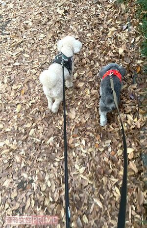 撮影／加藤綾菜