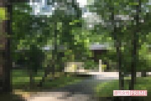 軽井沢の一等地にある渡辺の別荘。手放さずに日本での拠点としている