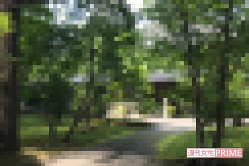 軽井沢の一等地にある渡辺の別荘。手放さずに日本での拠点としている