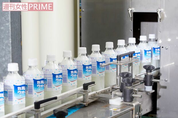 館林工場ではカルピス含め、1日に約300万本を生産する　撮影／渡邉智裕