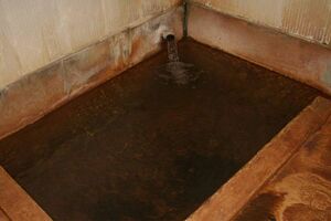 玉梨温泉は45.9度とあつあつの源泉が湧く。シュワシュワしないが炭酸ガスが溶け込んでいるのでしっかり温まる