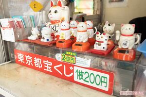 購入した券で招き猫をなで、御利益を授かろうとする人もいる　（撮影／齋藤周造）