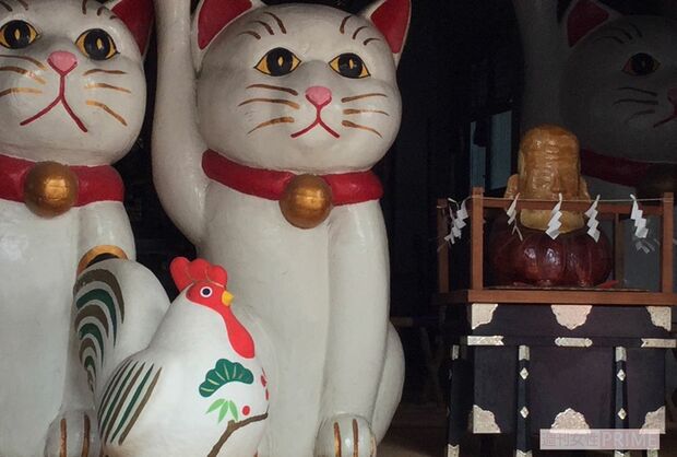 今戸神社のペアの招き猫はイザナギ、イザナミをイメージ。