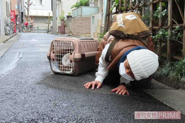 行方不明の猫を探して車の下をのぞく山口さん