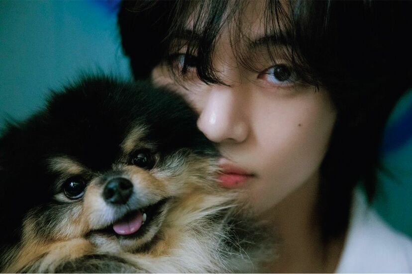 BTS V着用 ヨンタン前掛け 画像・写真】BTSのVが愛犬ヨンタンとそっくりな犬と共演に「Vなりの